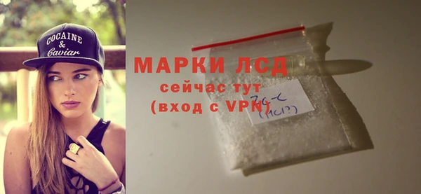 шишки Наволоки