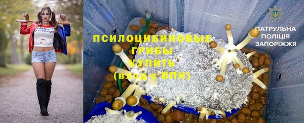 спайс Михайлов
