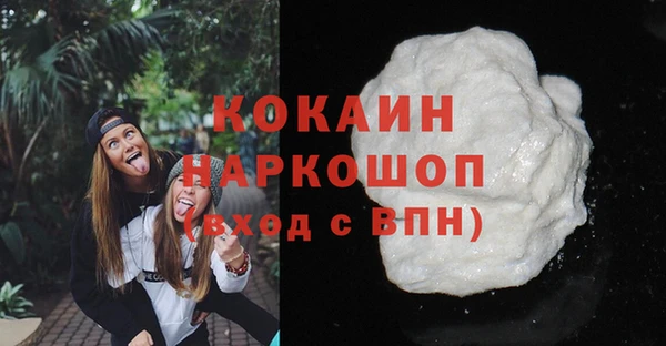 шишки Наволоки