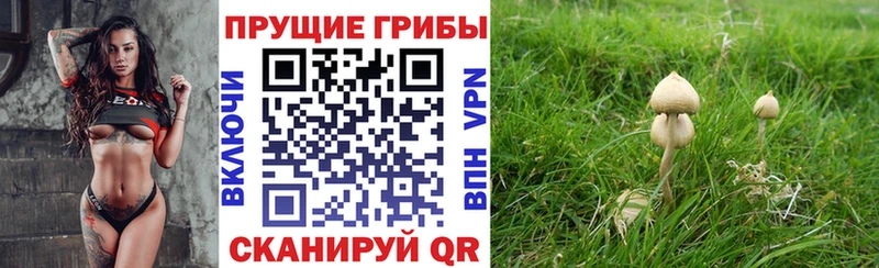 Галлюциногенные грибы MAGIC MUSHROOMS  Новоуральск 