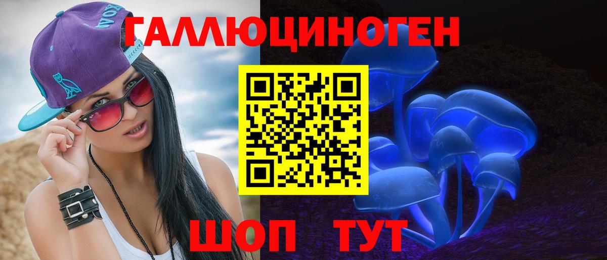 Галлюциногенные грибы Psilocybine cubensis Новоуральск