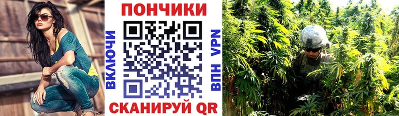 Бошки марихуана SATIVA & INDICA  Новоуральск 